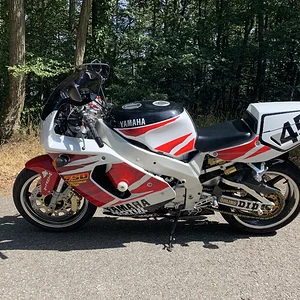 meine Ypse