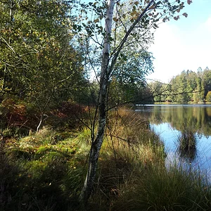 Les milles etangs