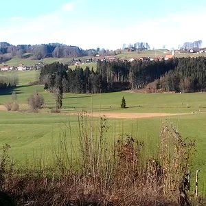 Panoramabild mit Blick nach Törwang