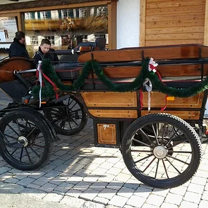 Kutsche in Törwang