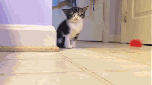 66qhgegy.gif