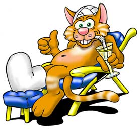 Kater_Gipsbein.jpg