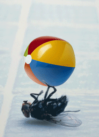 1425984.gif