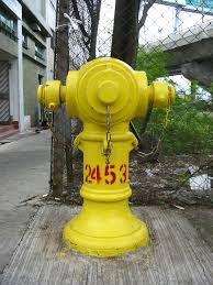 m55j38yu.jpg