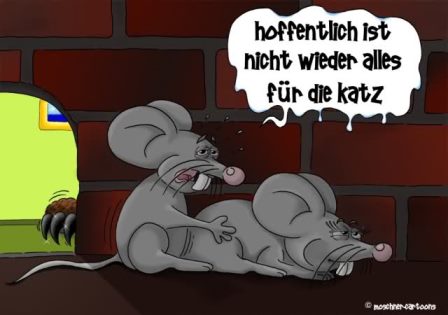 ukj2przk.jpg