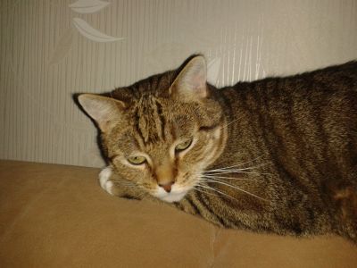 20131216_221408.jpg