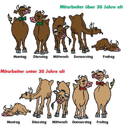 EineArbe.jpg