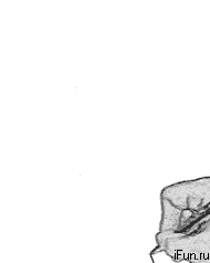 sqsjyqbx.gif