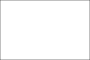 bildersatz300.png