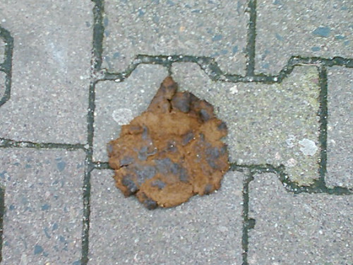 376039417_fce3c209b6.jpg