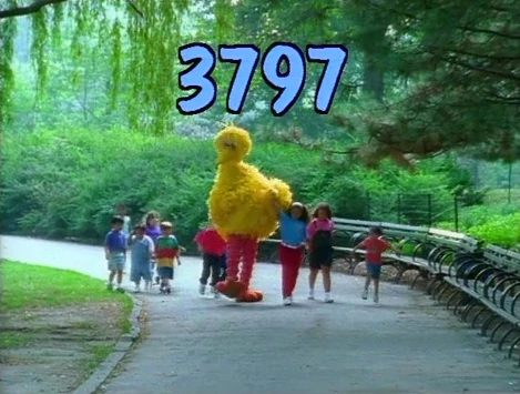 3797.jpg