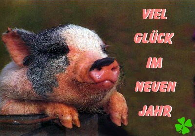 neujahr15.jpg
