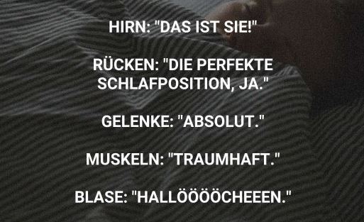 uukyjhyr.jpg