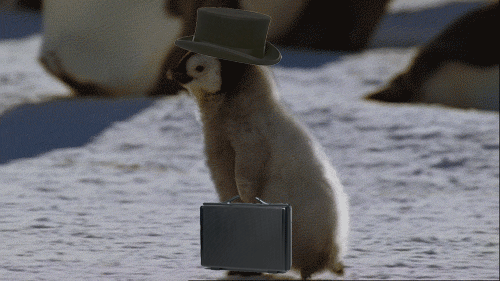 a9887zeh.gif