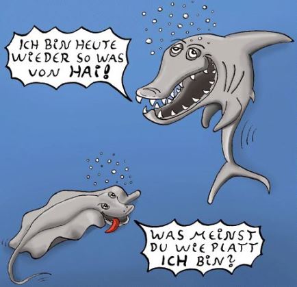 g2bi4ujp.jpg