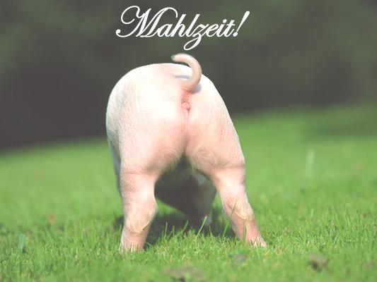 schweinearsch.jpg