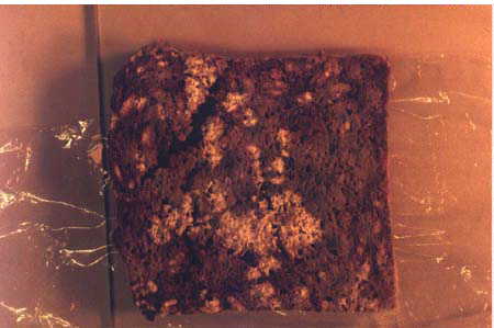 Brot.jpg