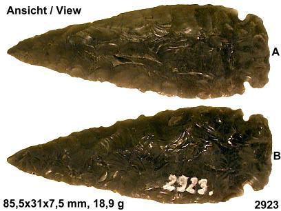 2923.JPG