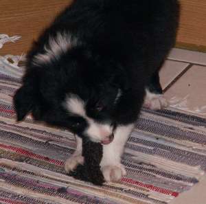 Pict5268.jpg