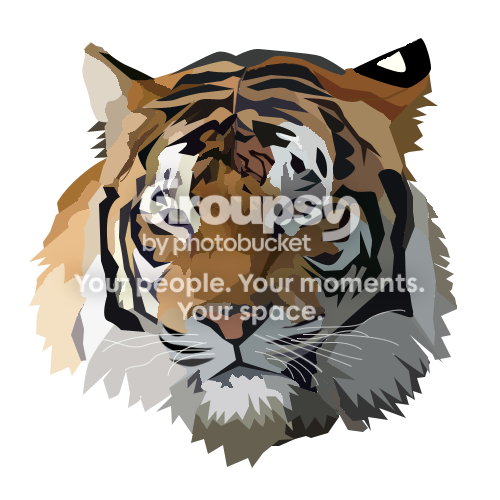 VectoringTIGER1-3.png