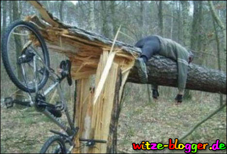 baum-faellen.jpg