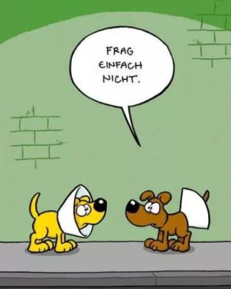 ndszmpe7.jpg