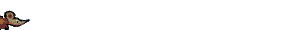 5.gif