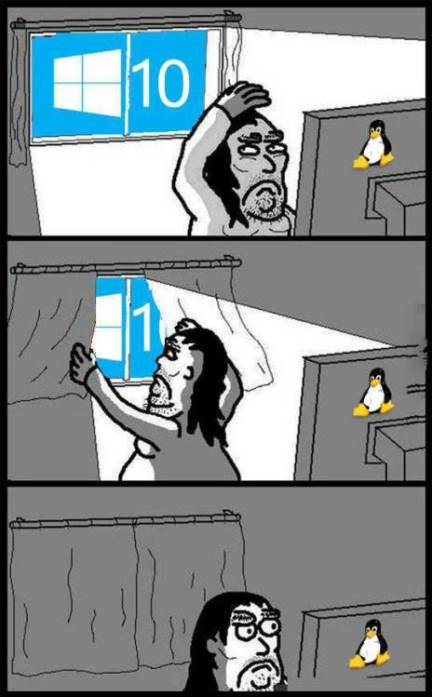cb76nb6f.jpg