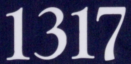 n1317.jpg