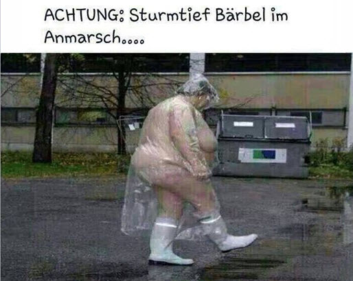 xvlwwpc2.jpg