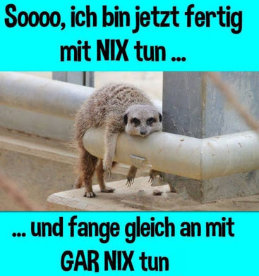 9l9ljq5a.jpg