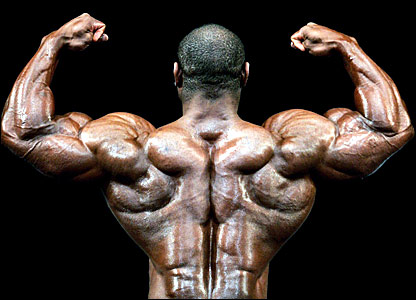 _42664419_bodybuilder.jpg