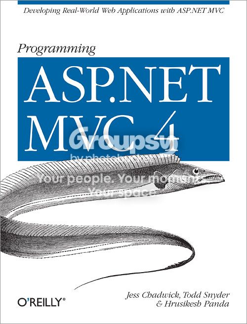 ProgrammingASPNETMVC4_zps757e31dc.jpg