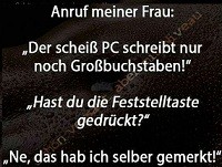 785.jpg