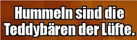 wnLZz7.jpg