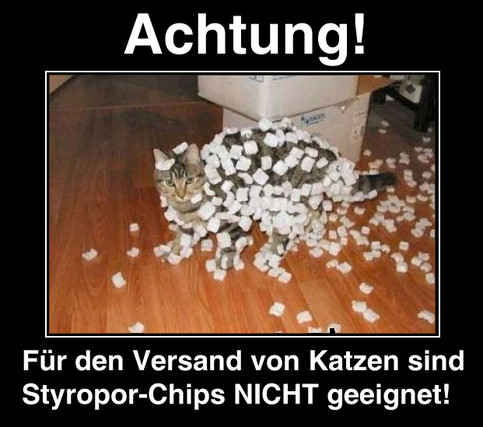 xbxpgr56.jpg