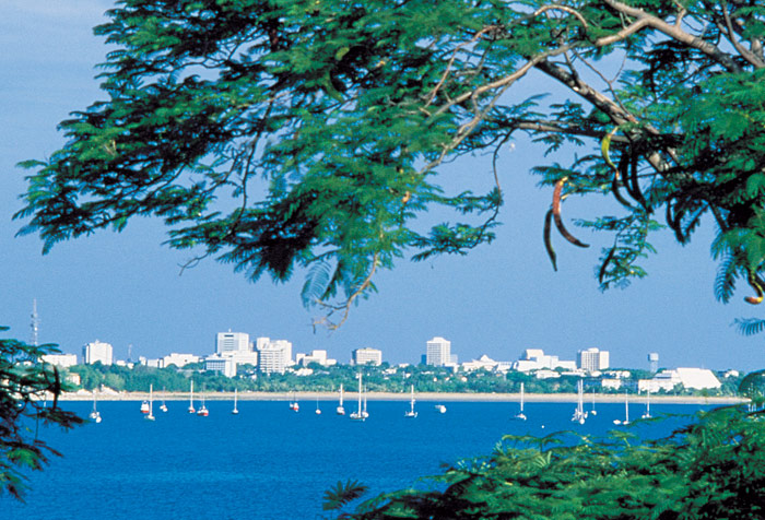 Darwin_1993.jpg