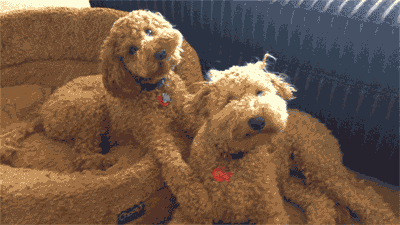 xtuh24s2.gif