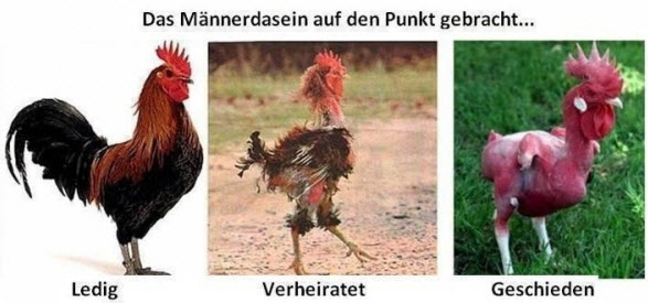 fkv9lihe.jpg