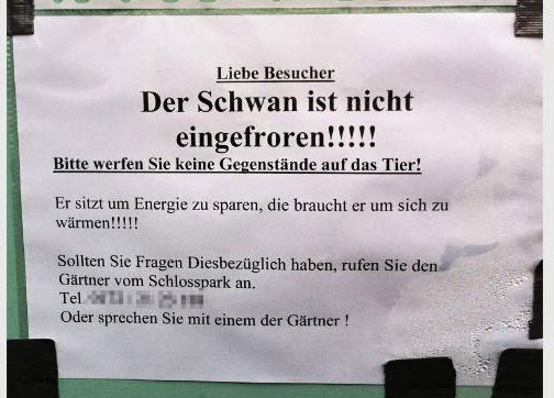xhvhjzhr.jpg