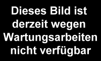 huehner-4337.gif