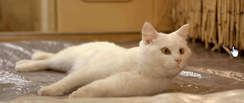 mcjyvhf8.gif