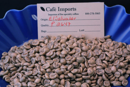 ijo6oz78.jpg