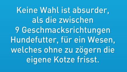 pkefzl5e.jpg