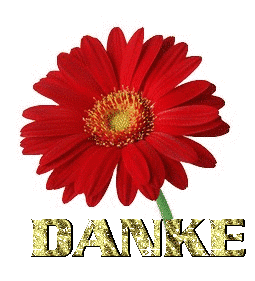 danke-0017.gif
