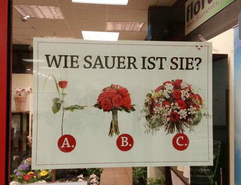 6iahbj3e.jpg