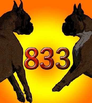 6t7nfpe8.png