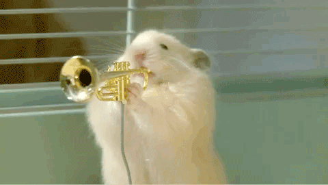 uzluphyz.gif