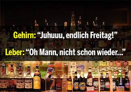 5gdu4ht6.jpg