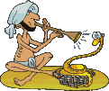 schlangen-0017.gif